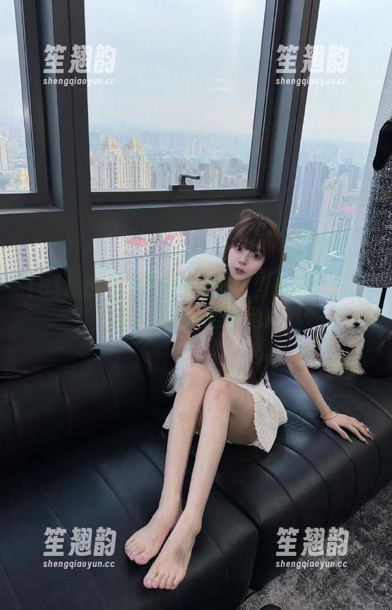 51吃瓜 51吃瓜收藏品:当吃瓜中心变成了胖猫的自留地!