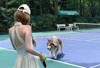 51吃瓜专属：胖猫今天又给安卓带来啥新瓜？