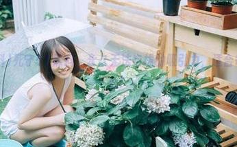 死守51黑料，永久无法自拔的吸引力，适合每颗好奇心！