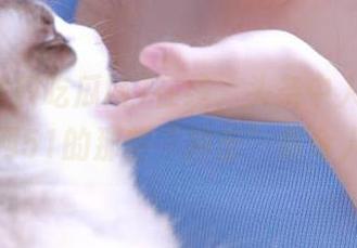 在线，头条中人人黑料吃瓜网51的那些“冲击”真令人咋舌
