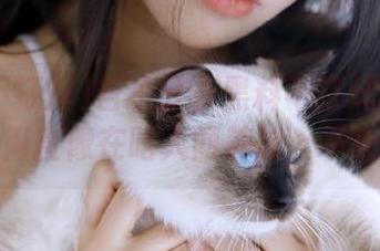 自拍分享黑料不打烊tttzzz入口，简直像在吃人间美味，不来尝尝？