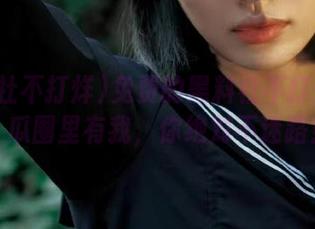 免费的黑料社不打烊指引，瓜圈里有我，你绝对不迷路！